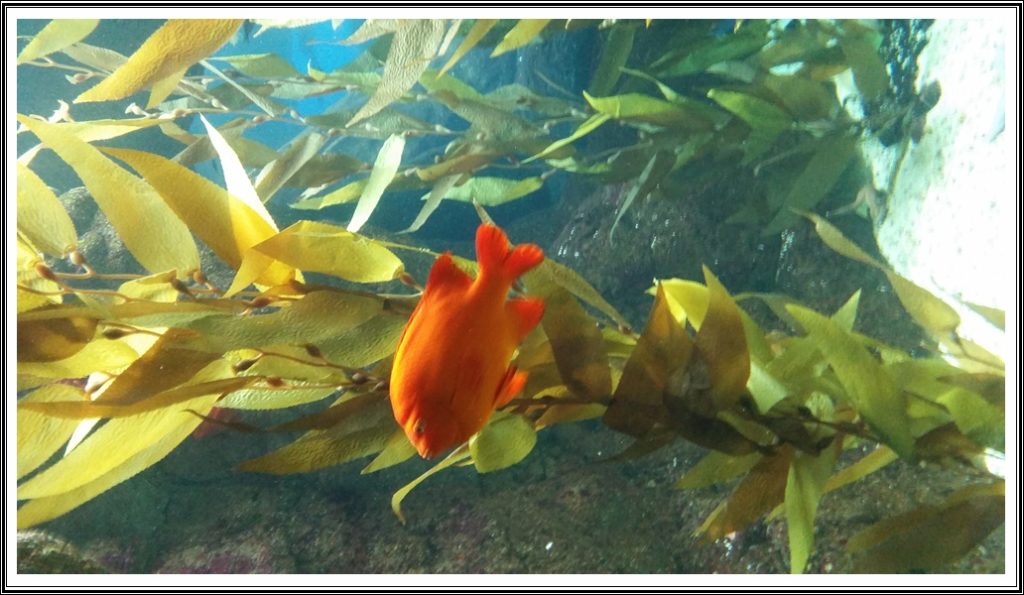 Portugal086 e1535254984385