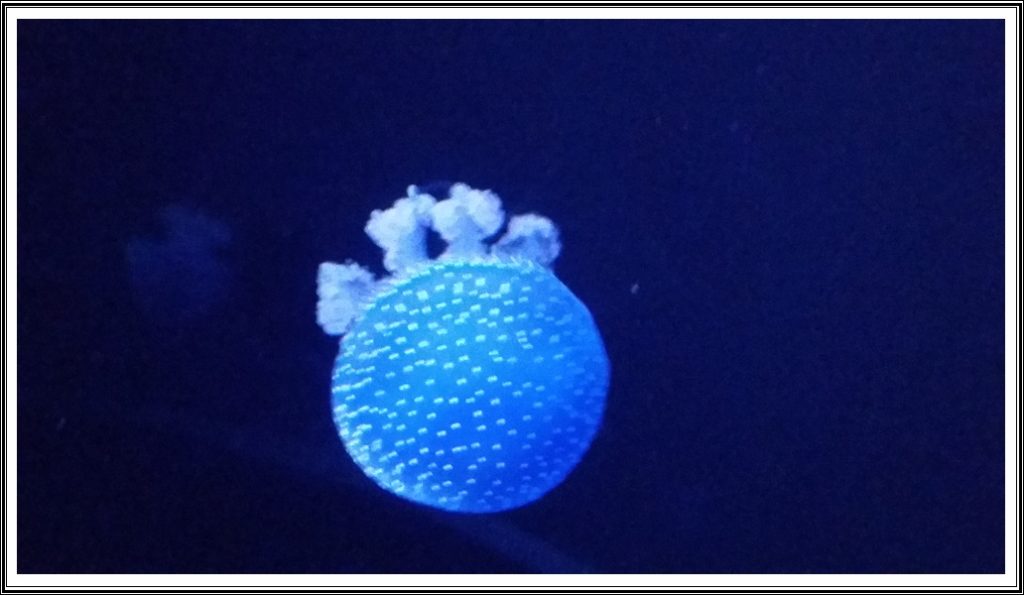 Portugal087 e1535255009109