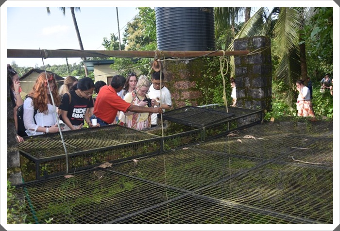 ಬ್ರಿಟನ್ ವಿದ್ಯಾರ್ಥಿಂಕ್ ಪಾಂಗ್ಳಾ ಕಳ್ಯಾಂಚಿಂ ಕ್ಲಾಸ್ 7 JM017