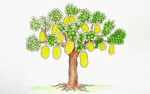 ಪೊಣ್ಸಾ ರೂಕ್ 6 SA01