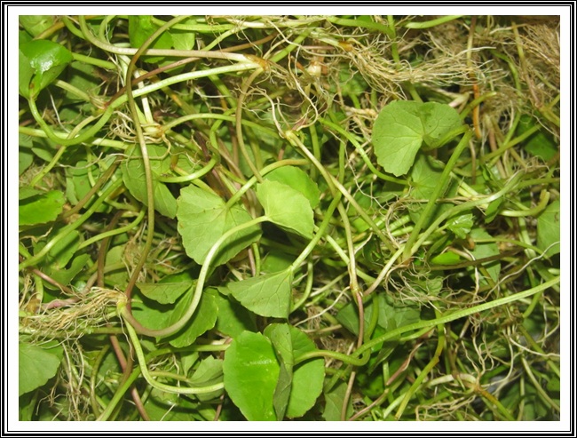 ತಣಾ ವರ್ಗಾಂತ್ಲೆಂ ದಾಯ್ಜ್, ಝಡ್ಪಾಲ್ಯಾಂ ಮಧ್ಲೊ ವಯ್ಜ್- ಕಾರಾಣೊ 3 VB02