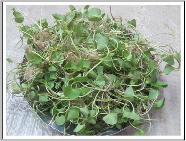 ತಣಾ ವರ್ಗಾಂತ್ಲೆಂ ದಾಯ್ಜ್, ಝಡ್ಪಾಲ್ಯಾಂ ಮಧ್ಲೊ ವಯ್ಜ್- ಕಾರಾಣೊ 5 VB03